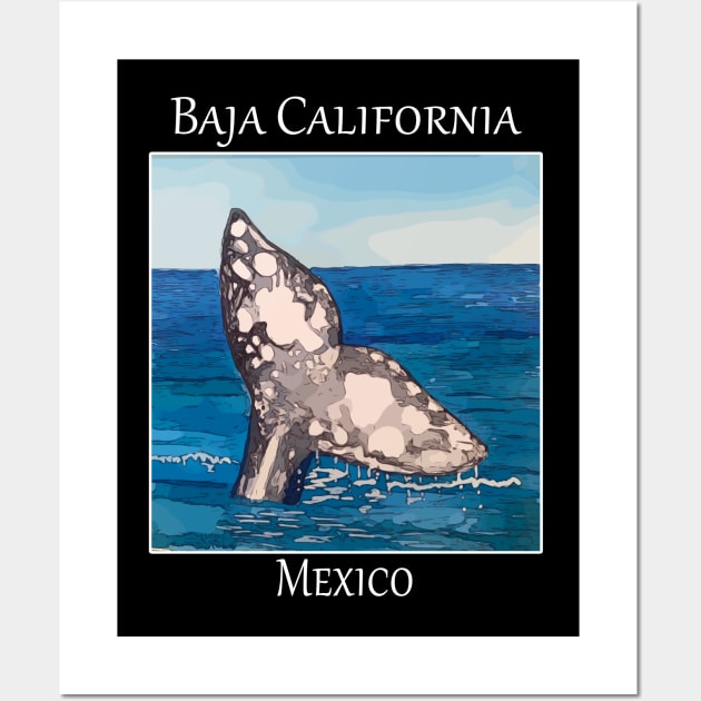 Whale Tail in Baja California Mexico Wall Art by WelshDesigns